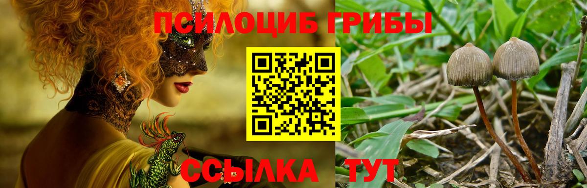 Псилоцибиновые грибы GOLDEN TEACHER  Вход с VPN  Ишимбай  Псилоцибиновые грибы ЛСД 